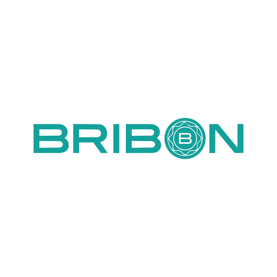 inicio bribon logo