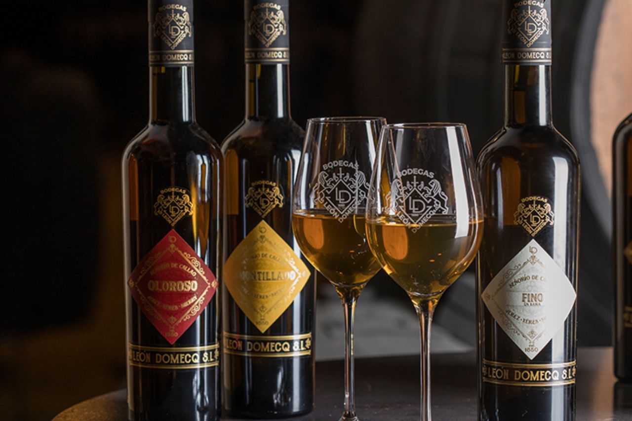 bodegas leon domecq (2)
