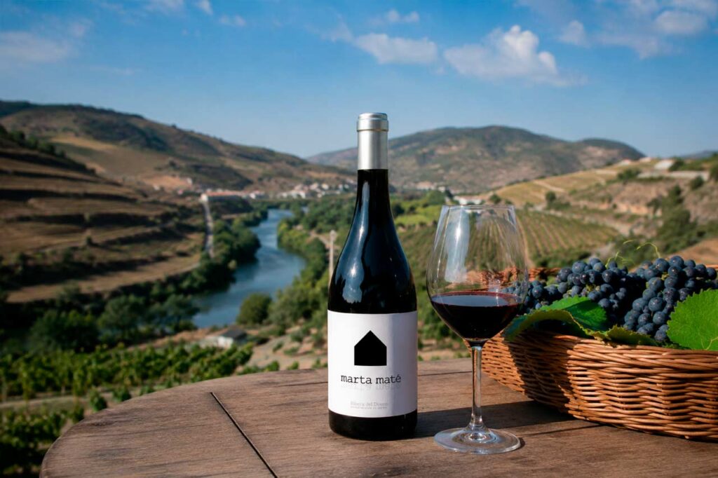 Rioja o Ribera del Duero vino ribera del duero marte mate