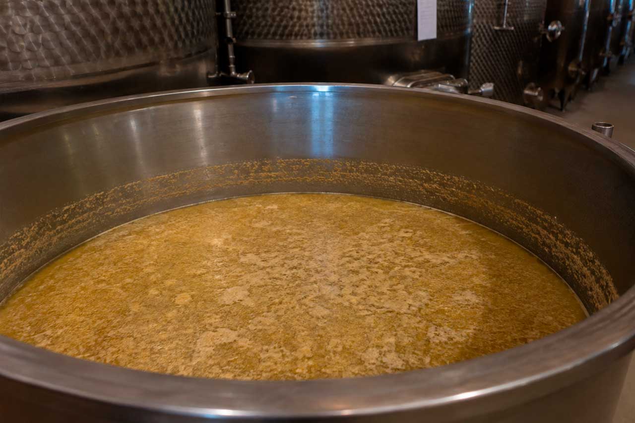 vinos de crianza sobre lías